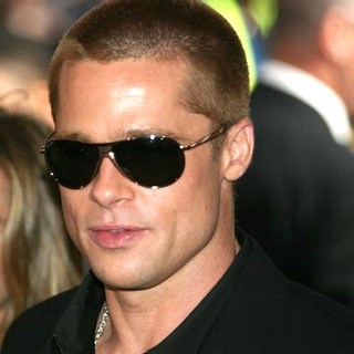 Brad Pitt; in Troy