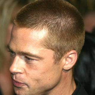 Brad Pitt; in Troy