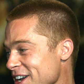 Brad Pitt; in Troy