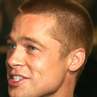 Brad Pitt; in Troy