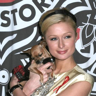 Paris Hilton; in Paris Hilton Signs Copies of her Book Your Heiress Diary: Confess it all to Me at Virgin Megastore