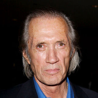 David Carradine; in 29th Annual Dinner of Champions Benefiting the National Multiple Sclerosis Society - Arrivals