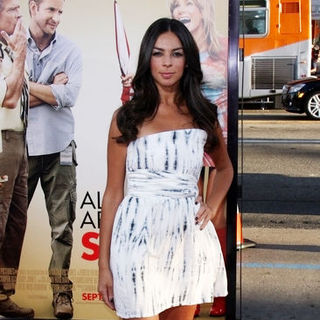 Terri Seymour; in "All About Steve" World Premiere - Arrivals