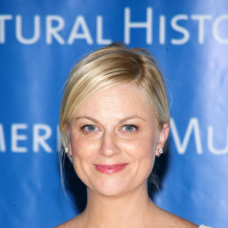 Amy Poehler in The Museum Gala 2008 - Arrivals