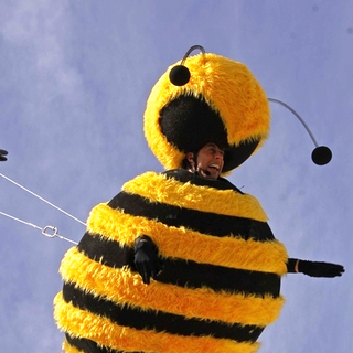 Jerry Seinfeld in 2007 Cannes Film Festival Photocall - The Bee Movie