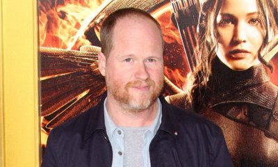 Joss Whedon Talks The Vision, Says 'Avengers: Age of Ultron' Is Bigger