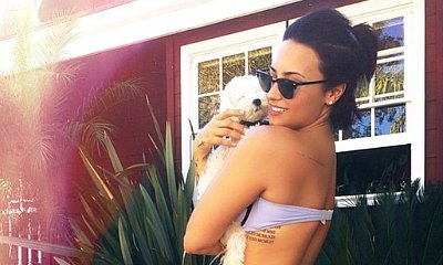 Bikini-Clad Demi Lovato Flaunts Toned Body in Instagram Photo