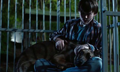 First Trailer for Inspirational Movie 'Max' Released