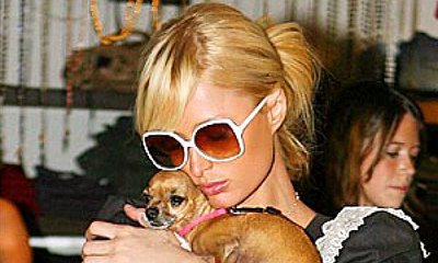 Paris Hilton Saddened and Devastated by Death of Dog Tinkerbell