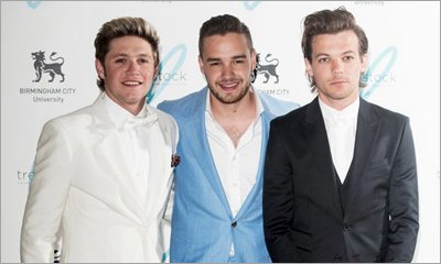 Liam Payne and Louis Tomlinson Prank Niall Horan With Toilet Paper-Covered Car