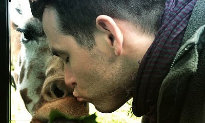 Ryan Reynolds Plants a Kiss on Giraffe's Nose During Safari Park Visit