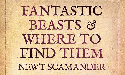 J.K. Rowling's 'Fantastic Beasts' May Feature American Wizard School