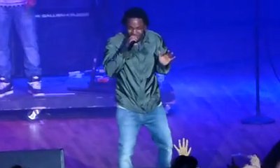 Kendrick Lamar Kicks Fan Off Stage for Not Knowing the Lyrics of 'm.A.A.d City'