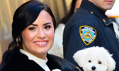 Demi Lovato 'Heartbroken' After Her Beloved Dog Died in 'Tragic Accident'