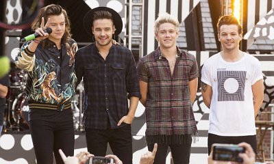Niall Horan Confirms One Direction Will Take a Break, Denies Split Rumors