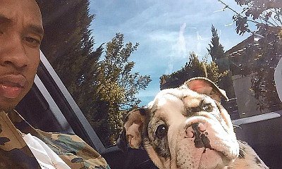 Kylie Jenner and Tyga Get New $50K Puppy From Friend