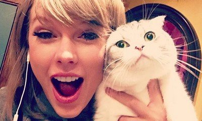 Taylor Swift Reunites With Her Cats After Canada Concert