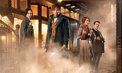 'Fantastic Beasts and Where to Find Them' May Have More Than One Main Hero