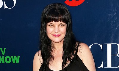 Homeless Man Who Attacked Pauley Perrette Is Officially Charged