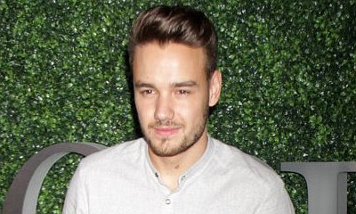 Liam Payne Says He's 'Absolutely Devastated' by Sophia Smith Split
