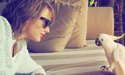 Taylor Swift Takes Entire '1989' Tour Crew on Vacation in Hamilton Island