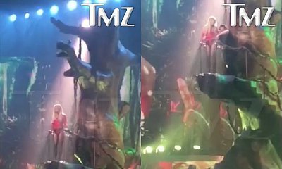 Britney Spears Gets Stuck to a Tree During Las Vegas Show