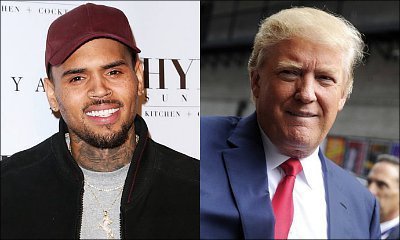 Chris Brown Throws the F Word to Donald Trump and His Supporters