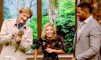 Zing! Kelly Ripa Disses Michael Strahan With 'Contract Negotiations' Joke on 'Live!' Show