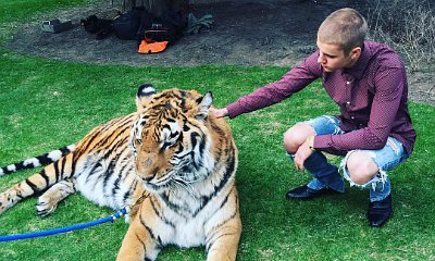 Justin Bieber Slammed by PETA for Posing With Chained Tiger