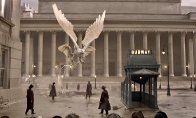 Comic-Con: New 'Fantastic Beasts' Trailer Shows Newt Scamander Recapturing the Creatures
