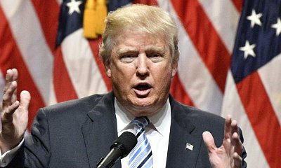 Donald Trump Has Got the Wall He's Wanted So Bad. See Art Installation on His Walk of Fame Star