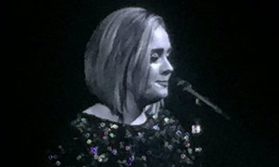 Adele Dedicates Her Show to 'Brangelina' Amid Brad Pitt and Angelina Jolie's Divorce