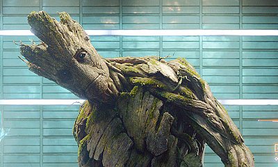 James Gunn Reveals Special Groot Script for Vin Diesel in 'Guardians of the Galaxy Vol. 2'