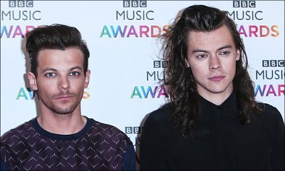 Louis Tomlinson Trolled by His and Harry Styles' Shippers After Banning 'Larry' on Instagram