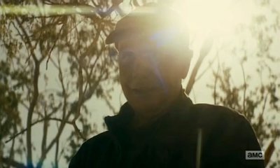 'Fear the Walking Dead': Dayton Callie Is Added in Season 2 Finale. Get Details of His Role!