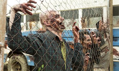 'Fear the Walking Dead' Gets New Miniseries