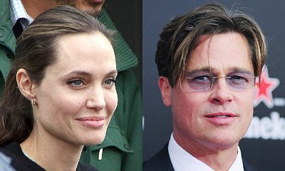 Angelina Jolie and Brad Pitt Reach Custody Agreement? Not So Fast!