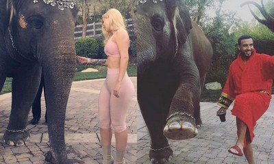 Iggy Azalea and French Montana Under Fire for Posing With Elephant at His Backyard