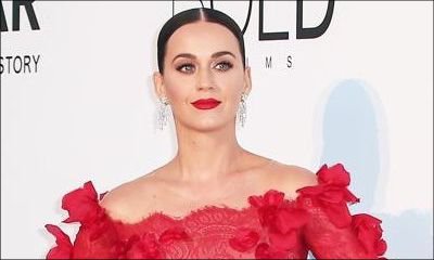 Katy Perry Bails on Her Chinese Fans After Donald Trump Wins Election