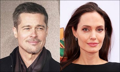 Brad Pitt and Angelina Jolie Reach Custody Agreement. Will He Meet His Children on Christmas?