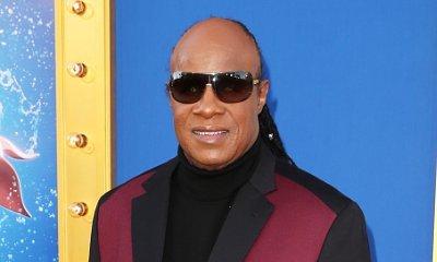 Stevie Wonder Plays Surprise Concert at 'Sing' L.A. Premiere