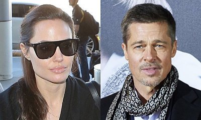 Angelina Jolie Loses Her Team's Trust Amid Brad Pitt Custody War