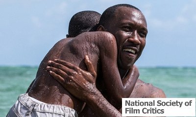 'Moonlight' Wins Big at National Society of Film Critics