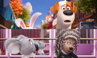 Secret Life Of Pets 2 Is Pushed Back Sing 2 Gets 2020 Release Date