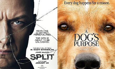 'Split' Tops Box Office Again, 'A Dog's Purpose' Has Solid Debut Against All Odds