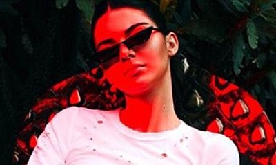 Braless Kendall Jenner Shows Off Her Nipples in Sculpted Sheer Top
