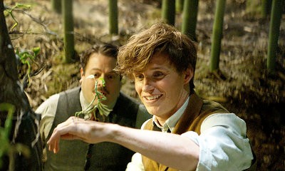 J.K. Rowling Hints at Big Spoiler for 'Fantastic Beasts and Where to Find Them 2'
