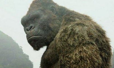 'King Kong' TV Series in the Works With Female Lead