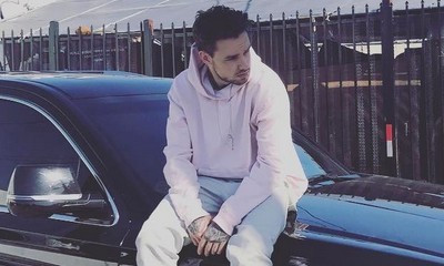 Liam Payne's New Album to Feature a Song From Zedd?