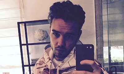 Liam Payne Grabs Crotch in Bathroom Selfie